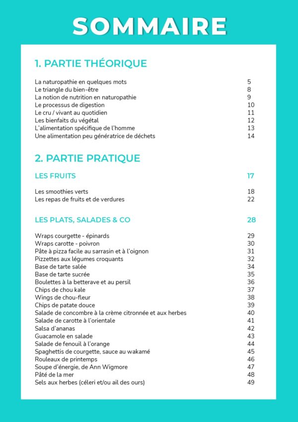 EBOOK RAW FOOD FACILE PAS CHERE 20210320 sommaire 1