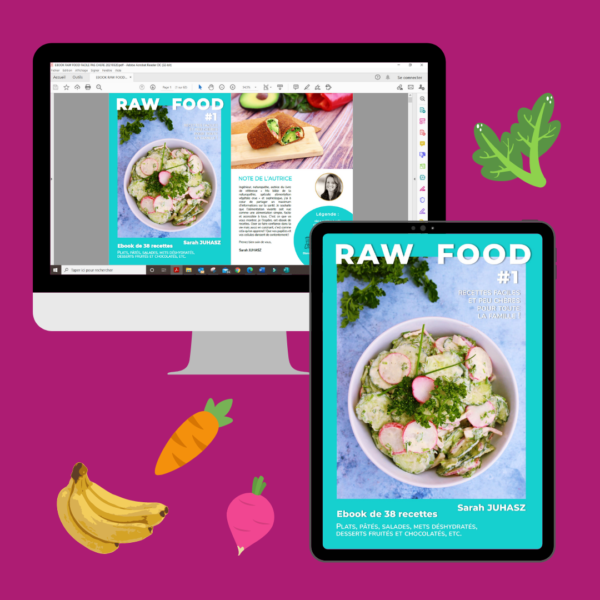 ebook raw food